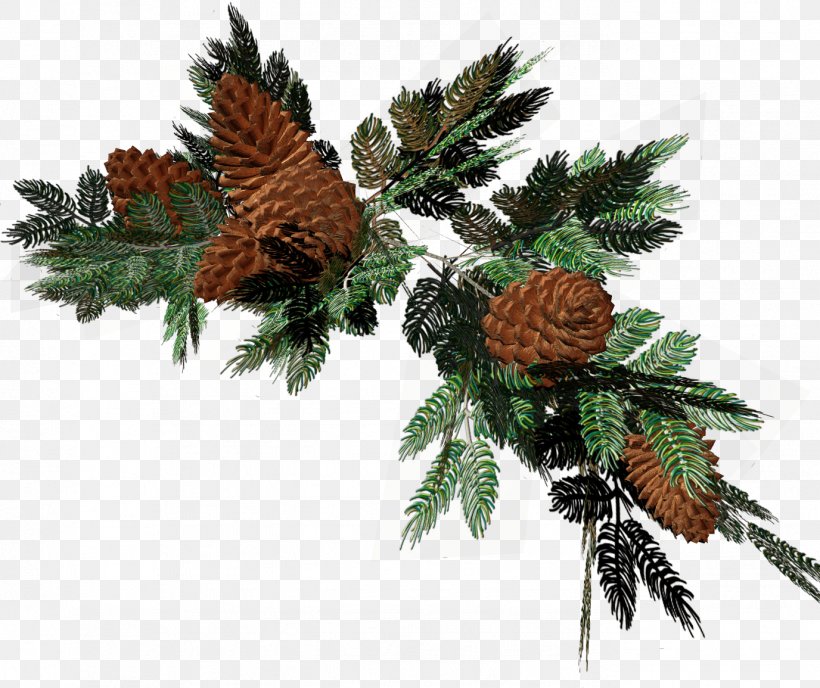 Fir Pine Ded Moroz Christmas Decoration, PNG, 1376x1155px, Fir, Branch, Christmas, Christmas Decoration, Christmas Ornament Download Free