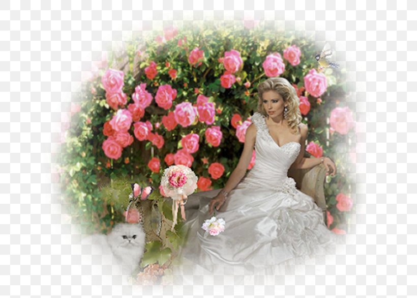 Garden Roses Buchete.ro Cut Flowers Floral Design, PNG, 654x585px, Garden Roses, Alege, Annual Plant, Artificial Flower, Buchetero Download Free