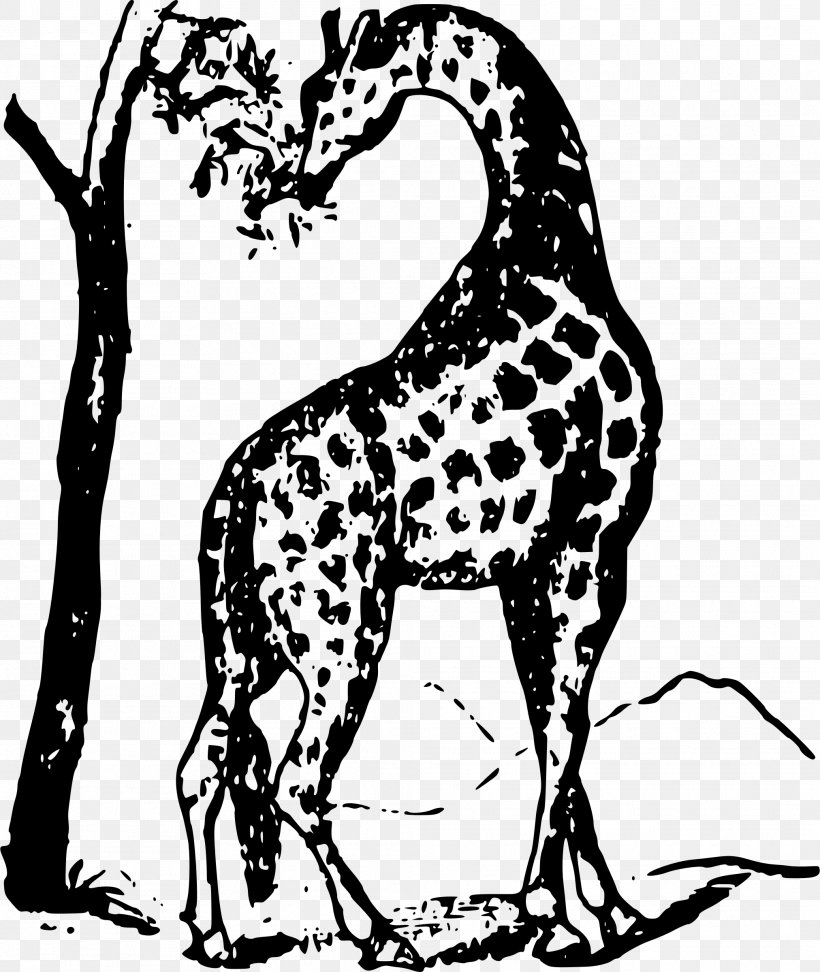 Giraffe Struggles And Triumphs: Or, Forty Years' Recollections Of P. T. Barnum Clip Art, PNG, 2024x2400px, Giraffe, Art, Black, Black And White, Branch Download Free