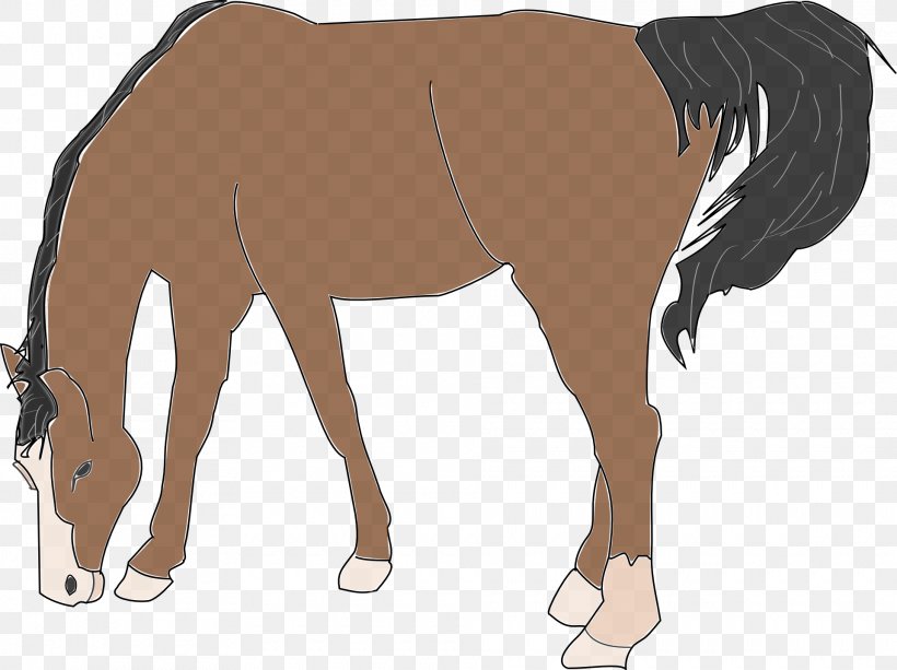 Horse Clip Art, PNG, 1920x1437px, Horse, Animal, Animal Figure, Arm, Bit Download Free