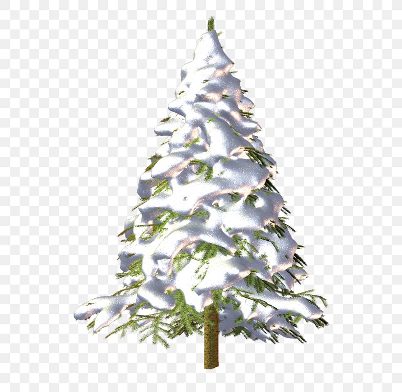 Christmas Tree Conifers Spruce Fir, PNG, 600x799px, Christmas Tree, Advertising, Branch, Christmas, Christmas Day Download Free