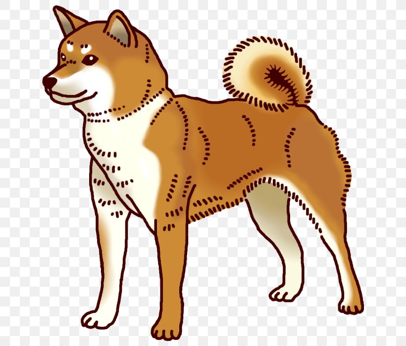 Finnish Spitz Shiba Inu Canaan Dog Korean Jindo Shikoku, PNG, 700x700px, Finnish Spitz, Akita, Akita Inu, Ancient Dog Breeds, Animal Download Free