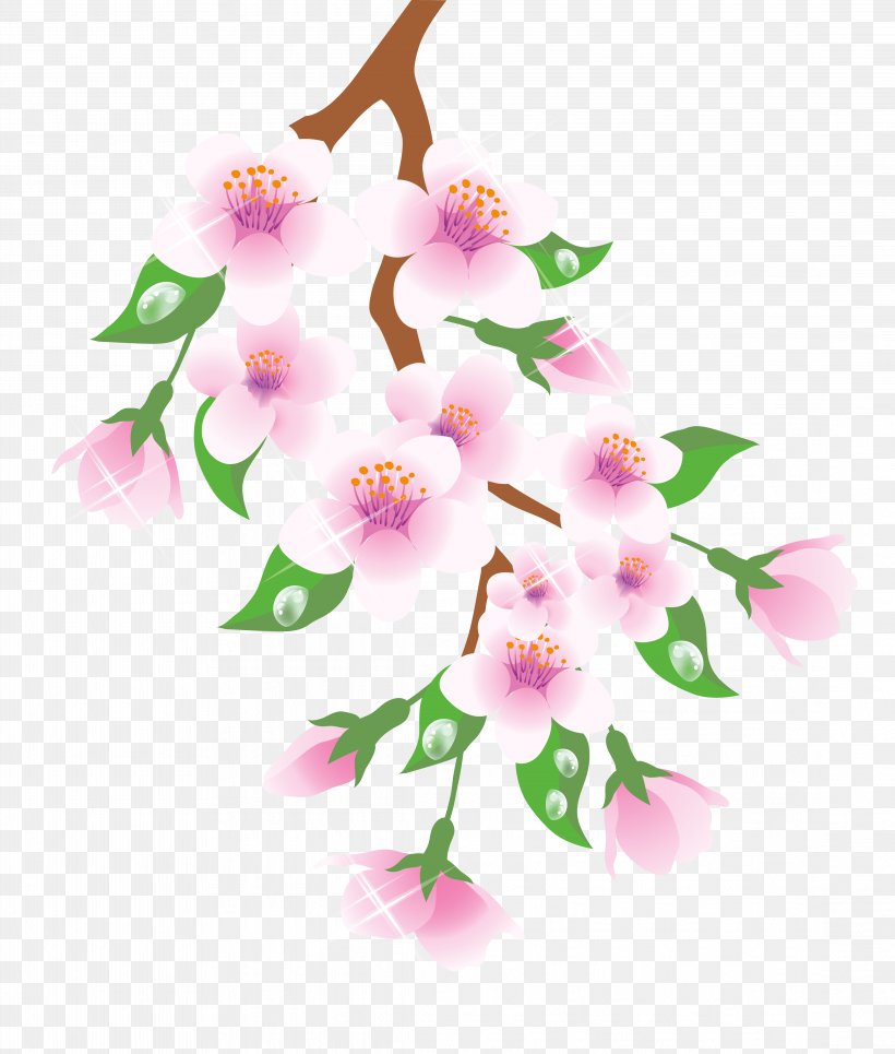 Branch Flower Clip Art, PNG, 4453x5245px, Branch, Blossom, Cherry Blossom, Flower, Flowering Plant Download Free