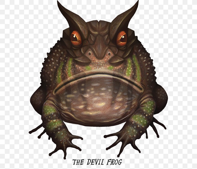 Devil Frog Drawing, PNG, 600x703px, Frog, Amphibian, Art, Bullfrog, Crazy Frog Download Free