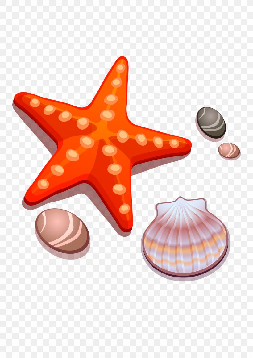 Drawing Cartoon Starfish Seashell, PNG, 1400x1981px, Drawing, Animation, Beach, Cartoon, Echinoderm Download Free