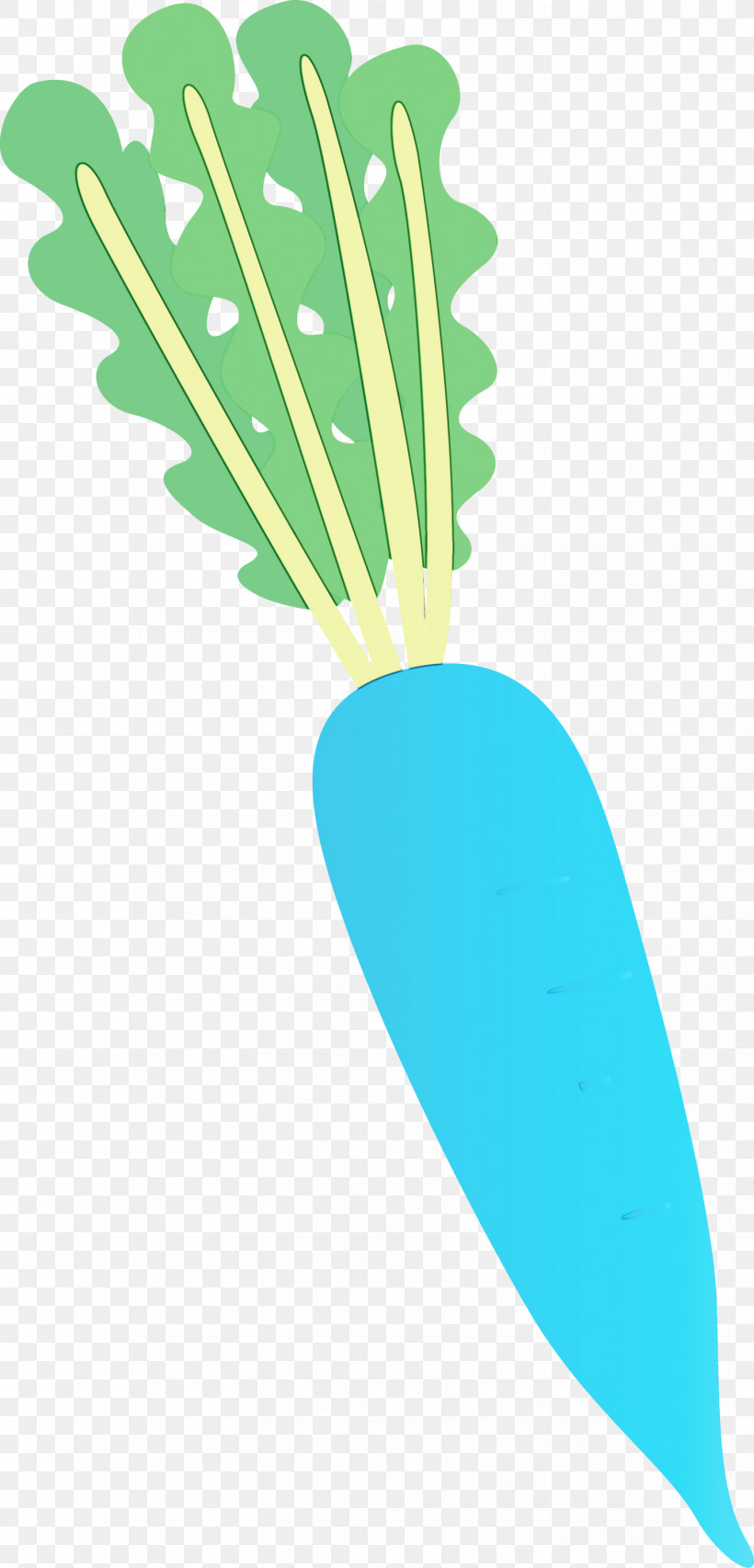 Feather, PNG, 1442x2999px, Radish, Biology, Feather, Leaf, Line Download Free