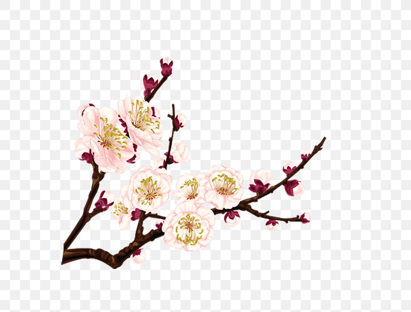 Clip Art, PNG, 690x624px, Information, Artificial Flower, Blossom, Branch, Cherry Blossom Download Free
