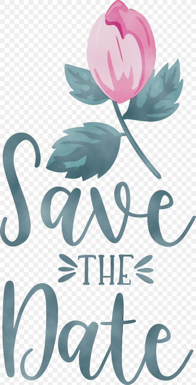 Floral Design, PNG, 1526x3000px, Save The Date, Biology, Floral Design, Flower, Logo Download Free