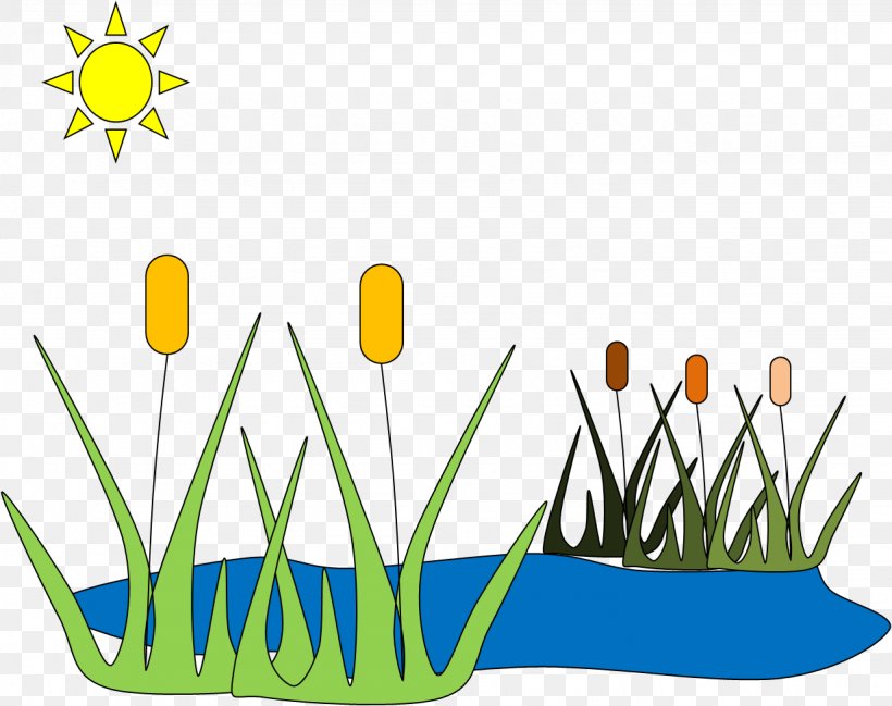 Pond Clip Art, PNG, 1231x975px, Pond, Commodity, Duck Pond, Fish Pond, Flower Download Free