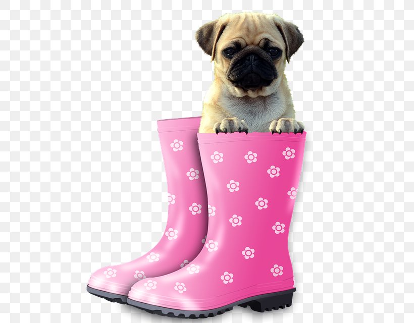 Pug Puppy Valentine's Day Wish Greeting & Note Cards, PNG, 640x640px, Pug, Birthday, Boot, Carnivoran, Companion Dog Download Free
