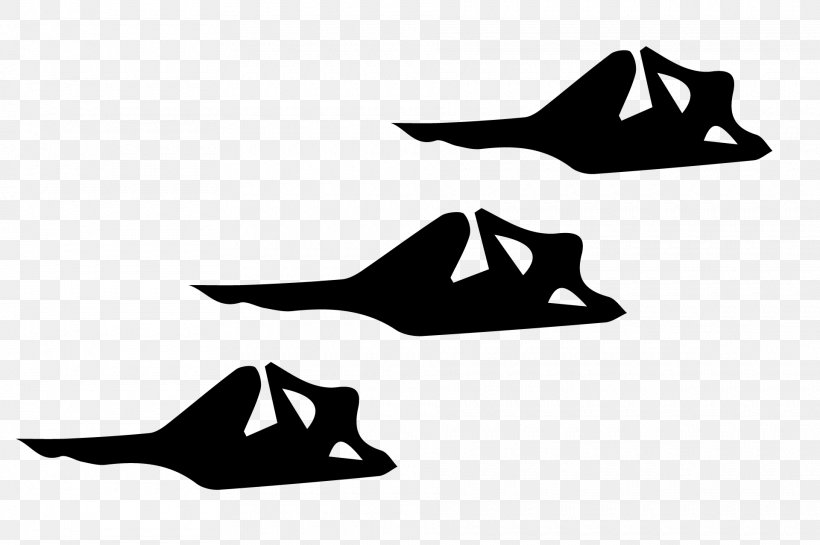 Silhouette Marine Mammal Shoe White Clip Art, PNG, 1920x1277px, Silhouette, Black, Black And White, Black M, Fish Download Free