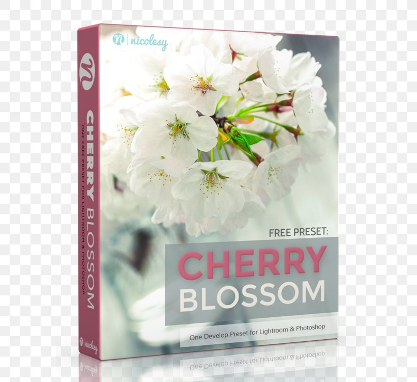Adobe Lightroom Photography Adobe Photoshop Psd, PNG, 600x750px, Adobe Lightroom, Adobe Systems, Blossom, Cherry Blossom, Flora Download Free