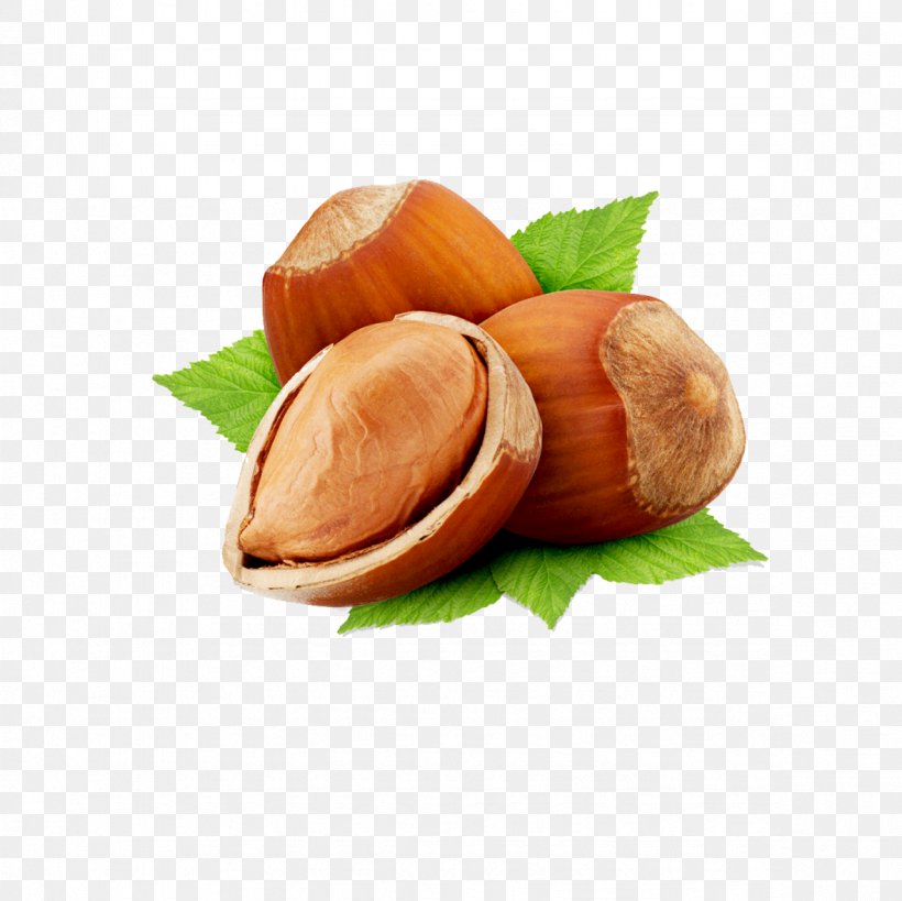Common Hazel Hazelnut Nut Roast Vegetarian Cuisine Chestnut, PNG, 1181x1181px, Common Hazel, Cashew, Chestnut, Corylus Colurna, Dried Fruit Download Free