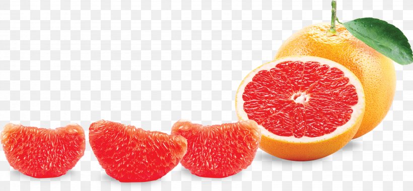 Grapefruit Lemon Food Diet, PNG, 3069x1423px, Grapefruit, Accessory Fruit, Bantning, Citric Acid, Citrus Download Free