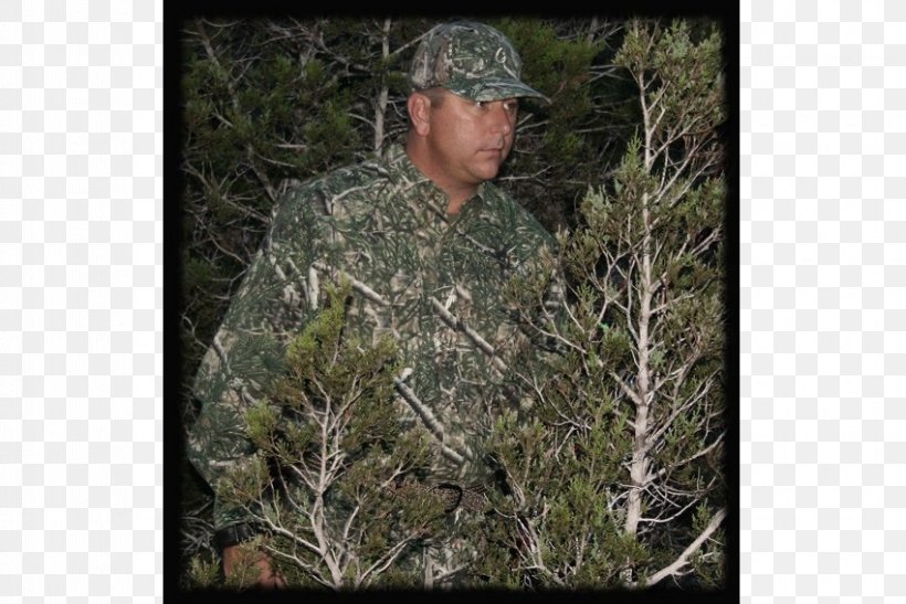 Military Camouflage Cedar Creek Camo Conifers, PNG, 850x568px, Military Camouflage, Camouflage, Cedar, Clothing, Conifer Download Free