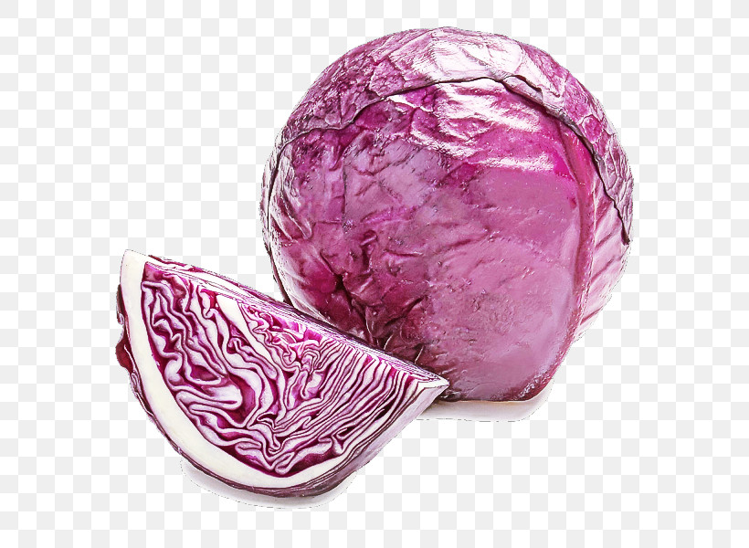 Red Cabbage Cabbage Food Vegetable Wild Cabbage, PNG, 600x600px, Red Cabbage, Cabbage, Food, Leaf Vegetable, Magenta Download Free