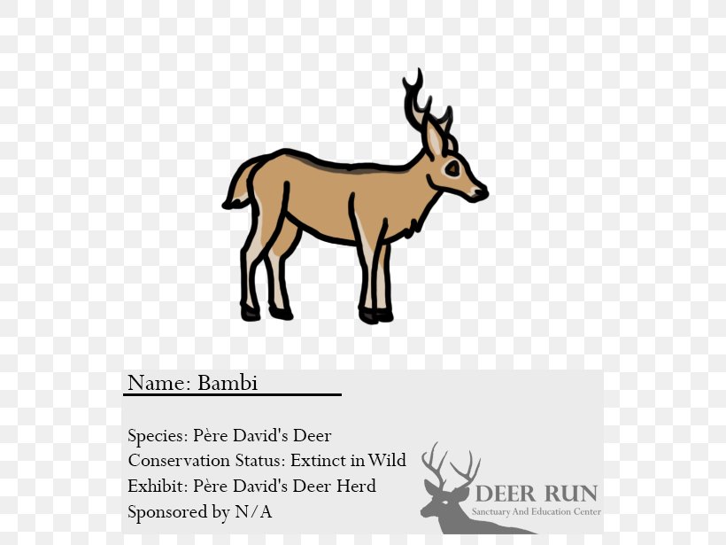 Elk Reindeer Cattle Antelope, PNG, 564x615px, Elk, Antelope, Antler, Cattle, Cattle Like Mammal Download Free