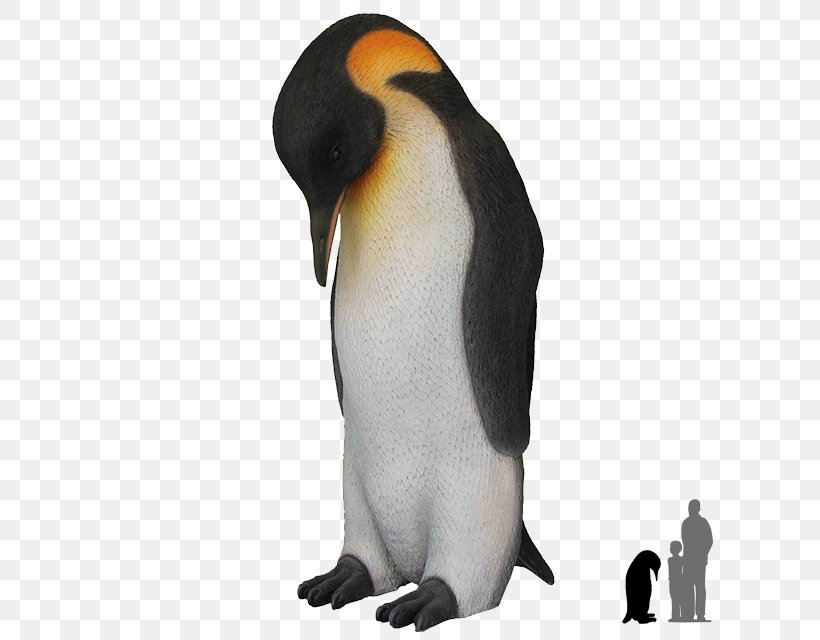Emperor Penguin King Penguin Clip Art, PNG, 640x640px, Penguin, Aptenodytes, Beak, Bird, Chinstrap Penguin Download Free