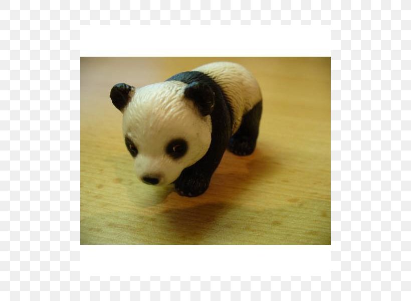 Giant Panda Bear Carnivora Stuffed Animals & Cuddly Toys, PNG, 800x600px, Giant Panda, Animal, Bear, Carnivora, Carnivoran Download Free