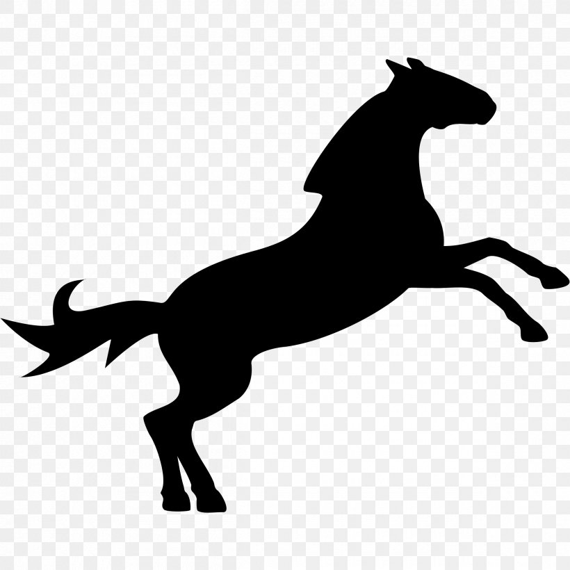 Horse Show Jumping Equestrian Clip Art, PNG, 2400x2400px, Horse, Black, Black And White, Collection, Colt Download Free