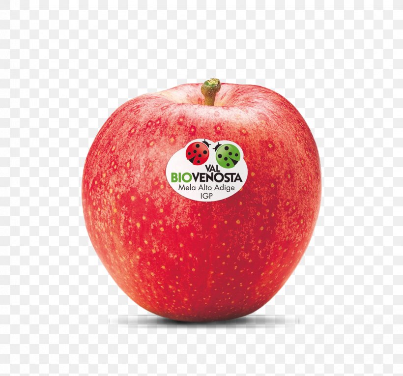 McIntosh Red Gala Apple Cripps Pink Red Delicious, PNG, 1335x1247px, Mcintosh Red, Apple, Biofach, Cripps Pink, Diet Food Download Free