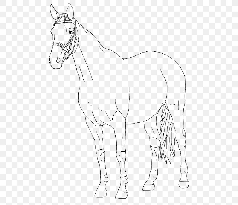 Mule Foal Bridle Stallion Colt, PNG, 550x707px, Mule, Animal Figure, Artwork, Black And White, Bridle Download Free