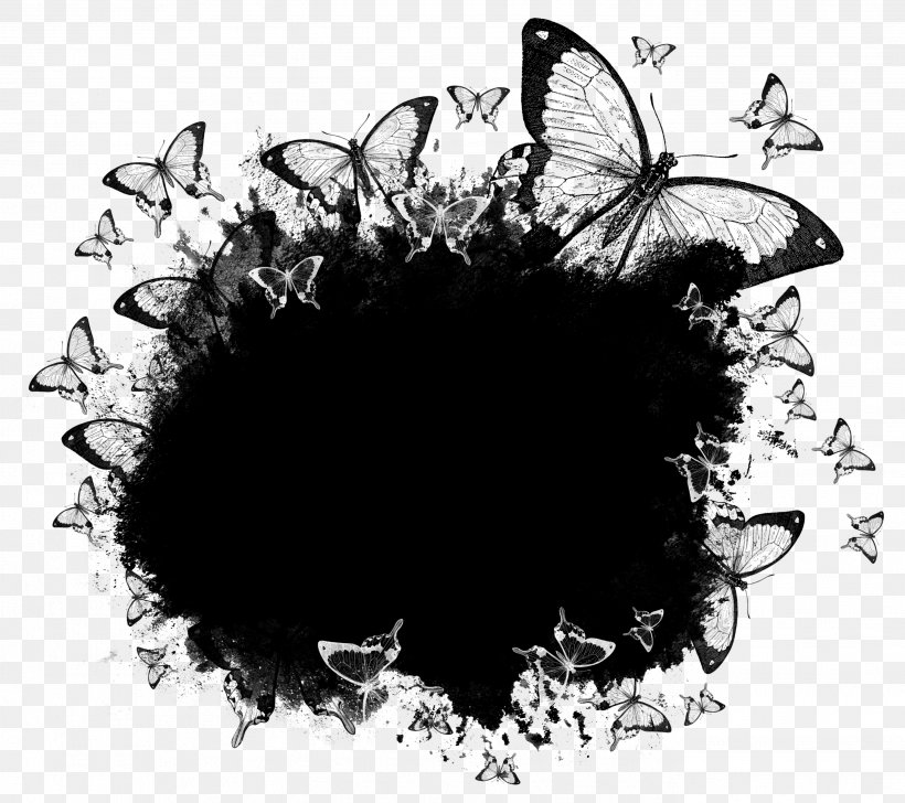 Picsart Background, PNG, 2748x2440px, Butterfly, Black, Blackandwhite, Blog, Brushfooted Butterflies Download Free
