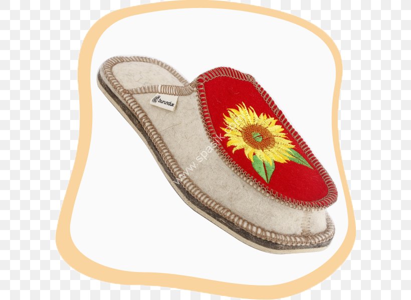 Sandal Shoe, PNG, 600x600px, Sandal, Footwear, Outdoor Shoe, Shoe Download Free