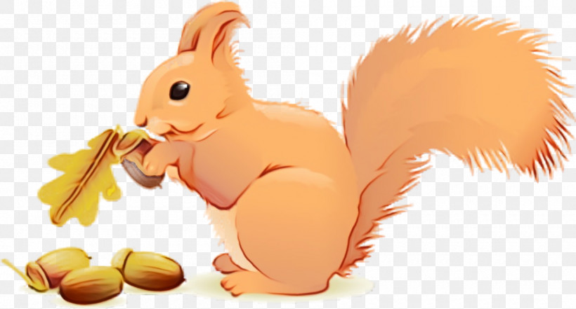 Squirrel Cartoon Animation Eurasian Red Squirrel Tail, PNG, 1000x538px, Squirrel, Acorns, Animal Figure, Animation, Cartoon Download Free