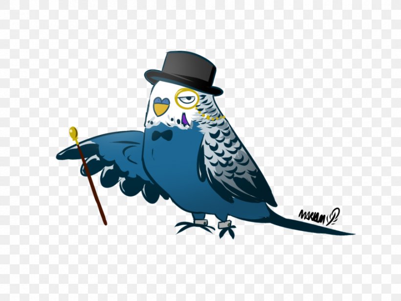 Beak Illustration Blue Jay Feather Bluebirds, PNG, 900x675px, Beak, Art, Bird, Blue Jay, Bluebird Download Free