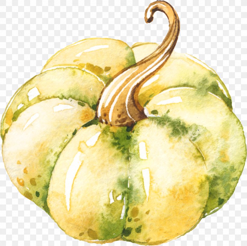 Gourd Pumpkin Winter Squash Watercolor Painting, PNG, 1890x1886px, Gourd, Cucumber Gourd And Melon Family, Cucurbita, Food, Fruit Download Free