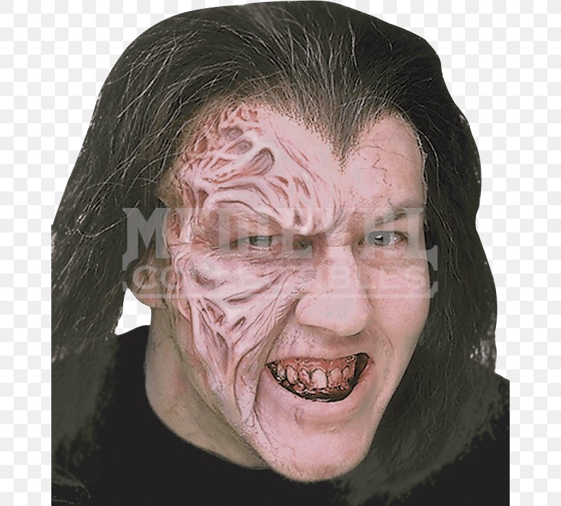 The Phantom Of The Opera Prosthesis Costume Mask Scar, PNG, 740x740px, Phantom Of The Opera, Cheek, Chin, Close Up, Clothing Accessories Download Free