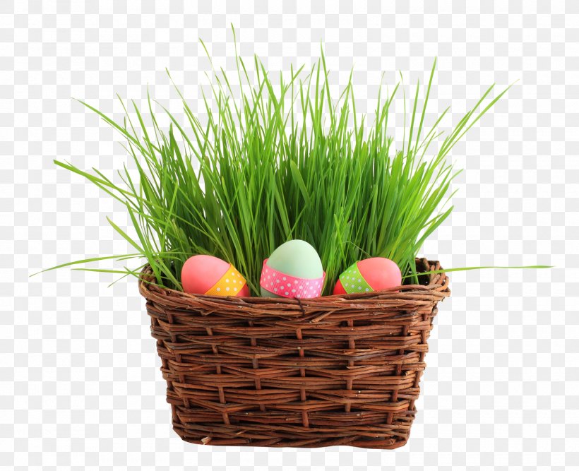 Easter Bunny Easter Egg Basket, PNG, 1600x1303px, Easter Bunny, Basket, Birthday, Commodity, Dog Download Free