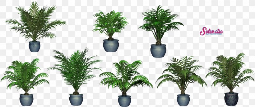 Potted, PNG, 1376x581px, Plant, Flowerpot, Leaf, Tree Download Free