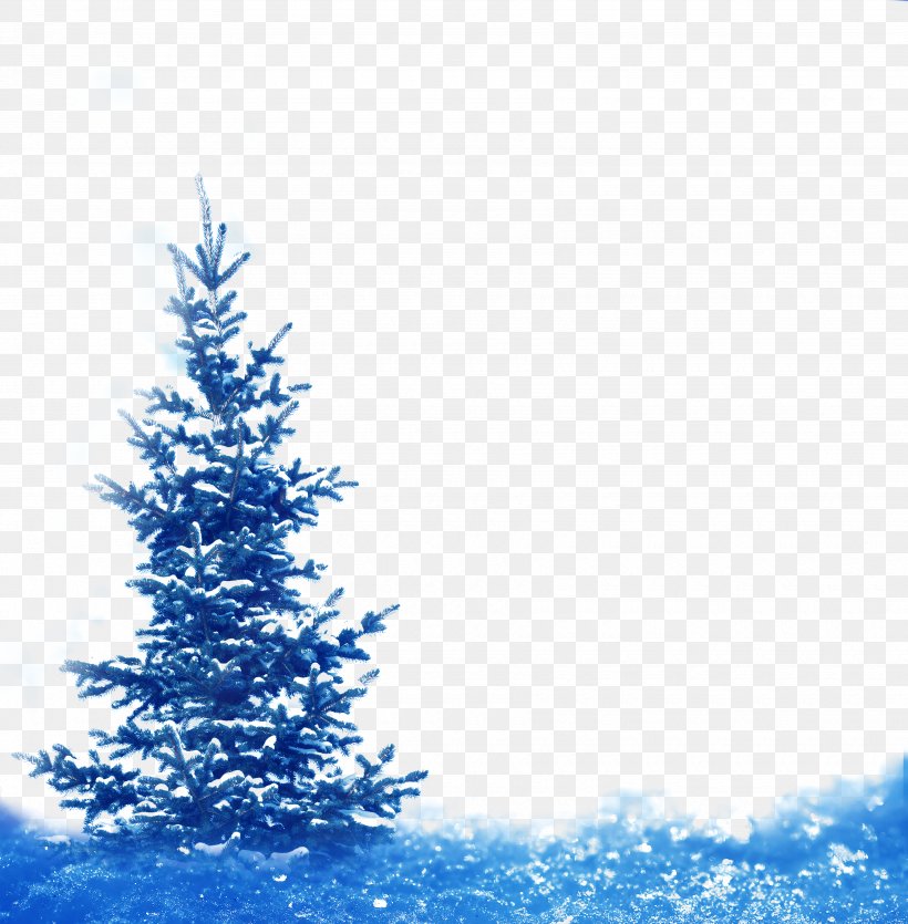 Spruce Fir Winter Snow Landscape, PNG, 3500x3566px, Spruce, Blue, Christmas, Christmas Decoration, Christmas Ornament Download Free