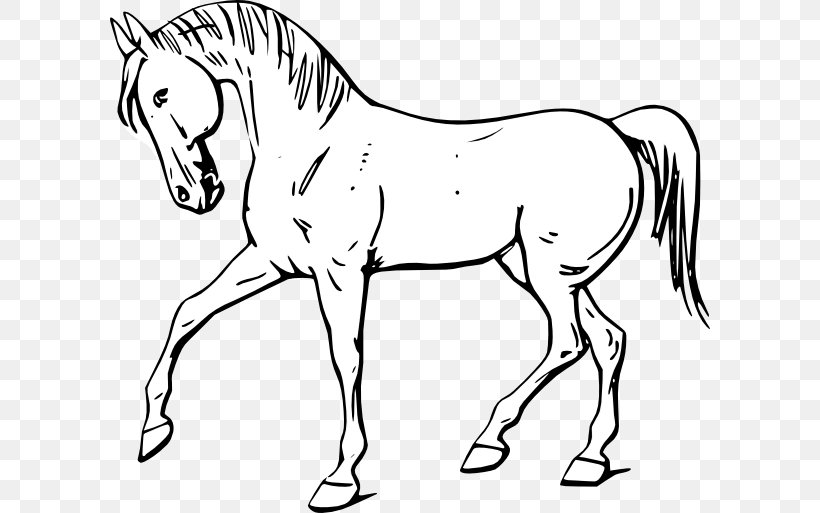 Tennessee Walking Horse Stallion Clip Art, PNG, 600x513px, Tennessee Walking Horse, Animal, Art, Artwork, Black And White Download Free