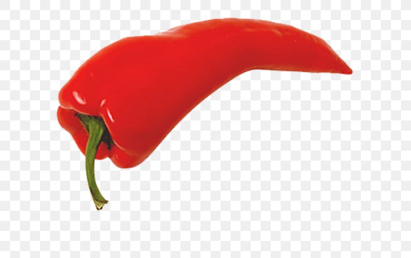 Chili Con Carne Chili Pepper Bell Pepper Clip Art, PNG, 600x514px, Chili Con Carne, Bell Pepper, Bell Peppers And Chili Peppers, Bhut Jolokia, Capsicum Download Free