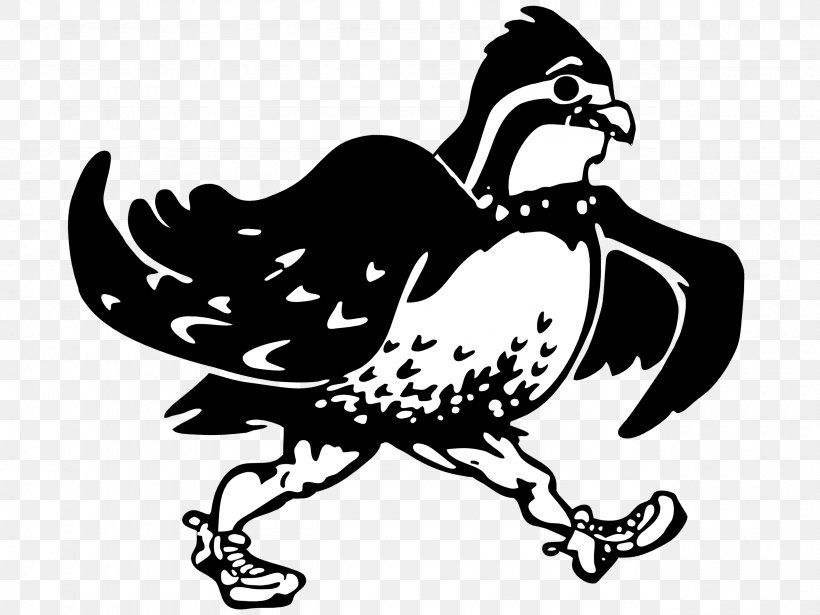 Quail Phasianidae Chicken Bird Logo, PNG, 2560x1920px, Quail, Animal, Art, Artwork, Beak Download Free
