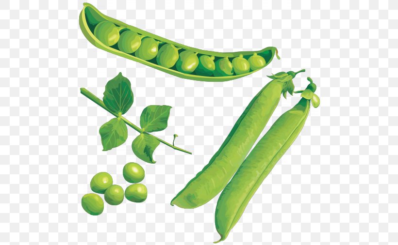 Pea Vegetable Clip Art, PNG, 500x506px, Pea, Banana, Commodity, Display Resolution, Food Download Free