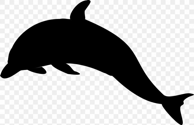 Sea Lion Miami Dolphins Dolphin Killer Whale Clip Art, PNG, 2400x1541px, 2018, Sea Lion, Animal Figure, Animation, Black White M Download Free