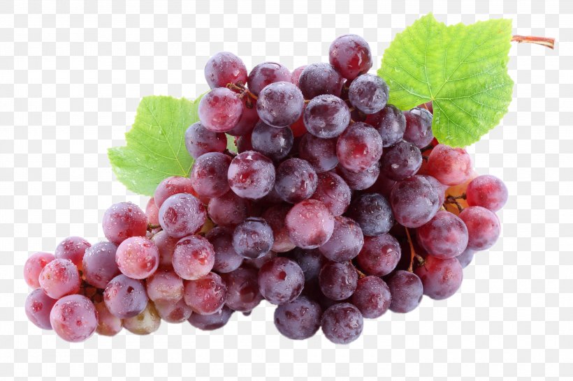 Wine Fruit Common Grape Vine Christmas Cake, PNG, 3000x2000px, Wine, Apricot, Berry, Blueberry, Carbohydrate Download Free