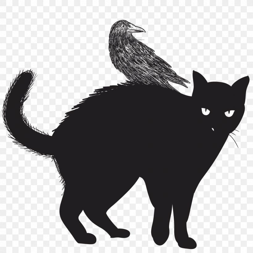 Black Cat Felidae Halloween Clip Art, PNG, 1200x1200px, Cat, Black, Black And White, Black Cat, Blackfooted Cat Download Free