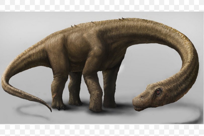 Dinosaur Size Dreadnoughtus Turiasaurus Tyrannosaurus, PNG, 900x600px, Dinosaur Size, Apatosaurus, Dinosaur, Dreadnoughtus, Extinction Download Free