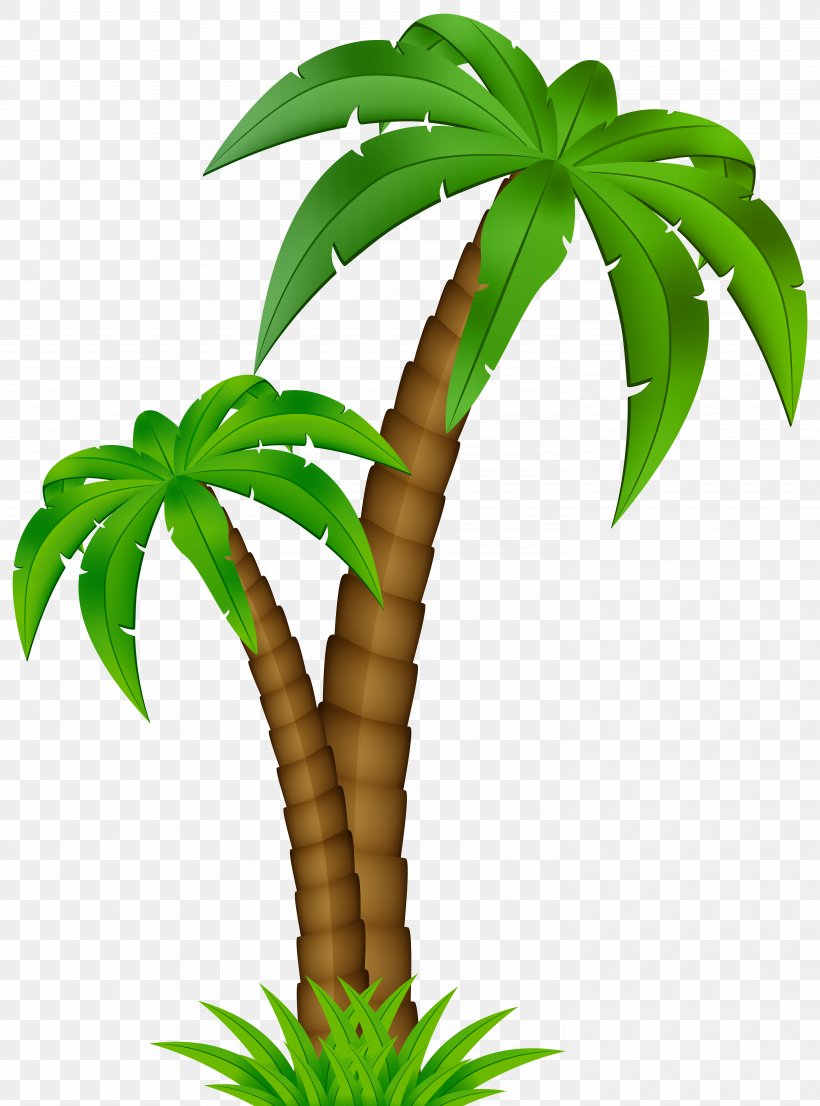 Palm Trees Clip Art Vector Graphics Image, PNG