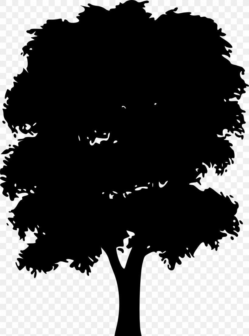 Tree Clip Art, PNG, 999x1348px, Tree, Black, Black And White, Branch, European Beech Download Free