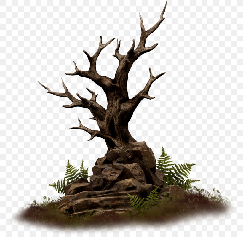 Wood Branch Rock Tree, PNG, 786x800px, Wood, Antler, Bonsai, Branch, Flowerpot Download Free