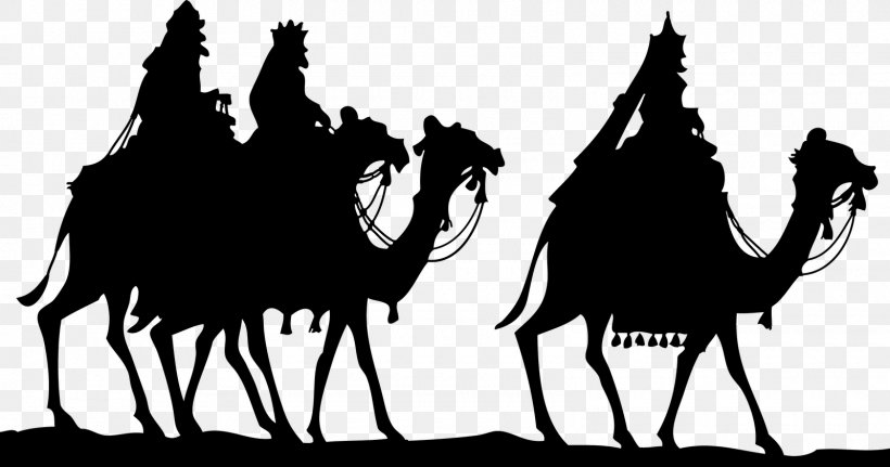 Biblical Magi Epiphany We Three Kings Clip Art, PNG, 1600x842px, 3 Wise Men, Biblical Magi, Arabian Camel, Black And White, Camel Download Free