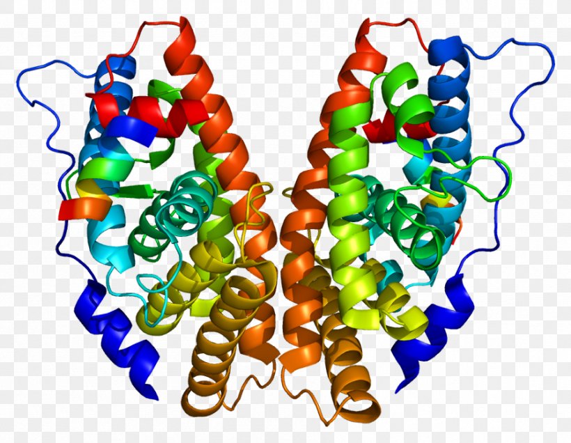Estrogen-related Receptor Gamma Estrogen Receptor Bisphenol A, PNG, 897x696px, Watercolor, Cartoon, Flower, Frame, Heart Download Free