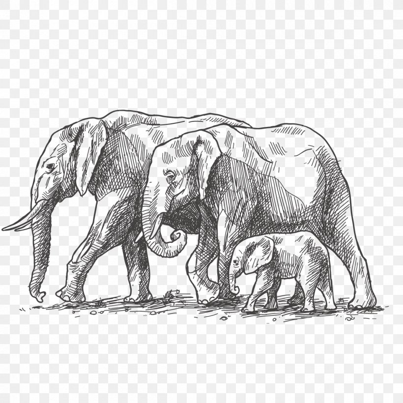 African Elephant World Elephant Day Family Drawing, PNG, 1200x1200px,  African Elephant, Animal, Art, Black And White,