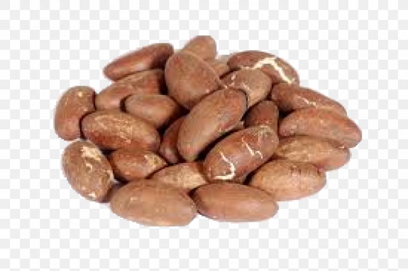 Bitter Kola Kola Nut West Africa Health Food, PNG, 1400x931px, Kola Nut, Bean, Chocolate Coated Peanut, Cocoa Bean, Commodity Download Free